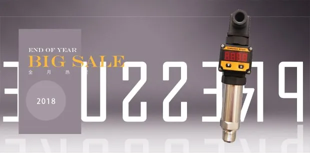 0.1~20 MPa Pressure Range Thread Connection and Ceramics Core Steam Pressure Sensor