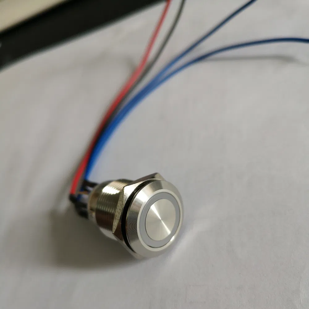 19mm Ring LED Flat Head Momentary 1no1nc Stainless Steel Push Button Electric Switch