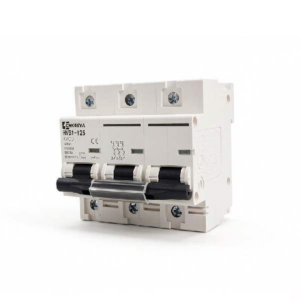 What Is the Maximum Short-Circuit Breaking Capacity of the HYB1-125 C100 Miniature Circuit Breaker