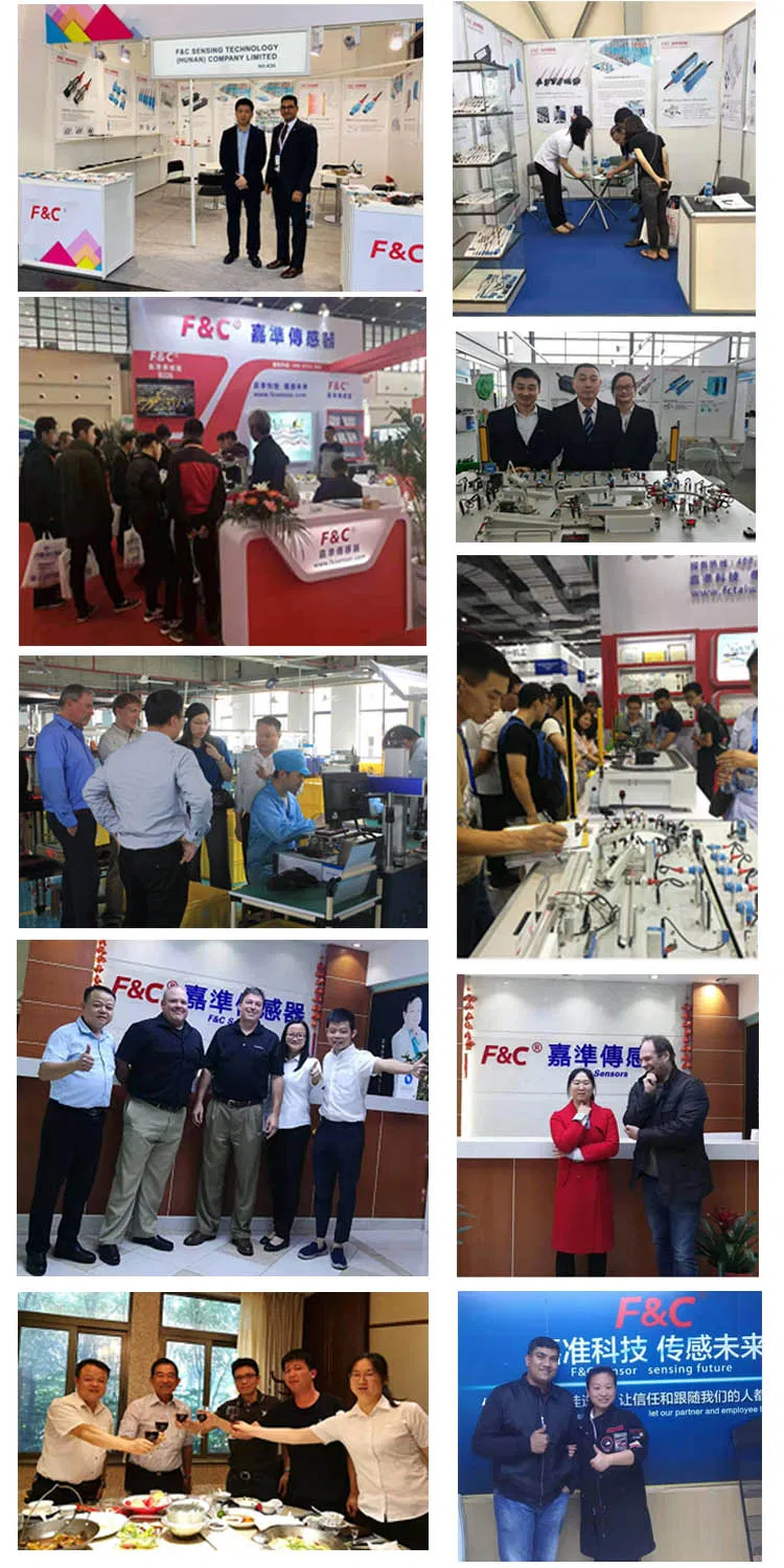 30*500mm Through Beam Reflection Array Fiber Optic Sensors