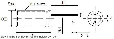 Bigcap 2.7V 22f Radial Series Super Capacitor Battery