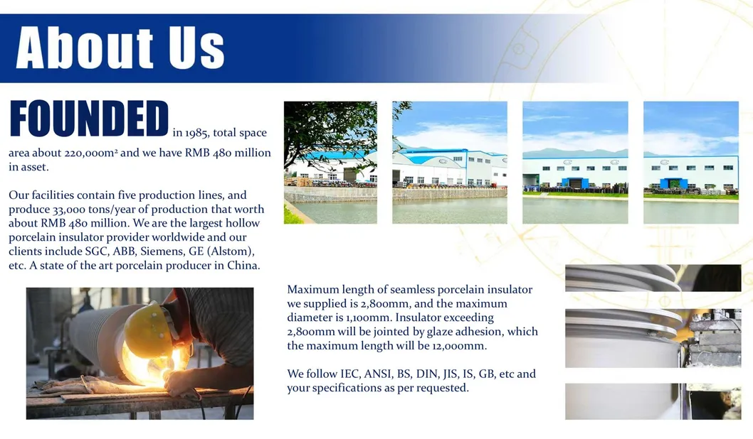 Composite Drop Fuse Cut out Insulator