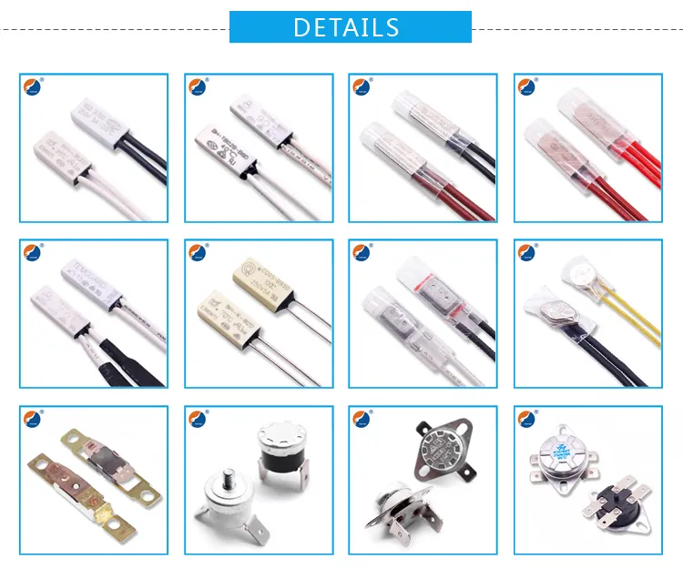 Creep Action Thermostat Switch Temperature Protector