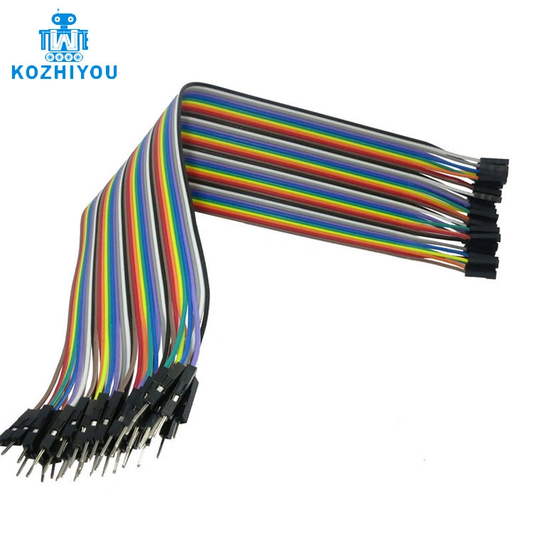 DuPont Line 40PCS 30cm Female to Male Jumper Wire DuPont Cable for Arduino