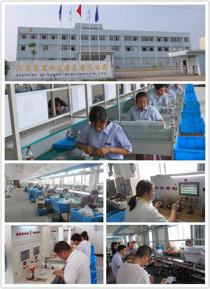 E27 Screw Type Circuit Protection MCB 32A 3ka 50/60Hz Sg101 L/C/B25 Mini Miniature Circuit Breaker Manufacturer