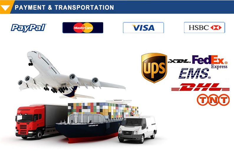 Etd Type High Current Electrical Transformer Toroidal Transformer