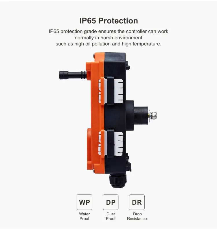 F21-E1 12V 36V 220V 380V 440V Telecrane 6 Push Buttons Industrial Multiple Eot Crane Hoist Remote Remote Controller