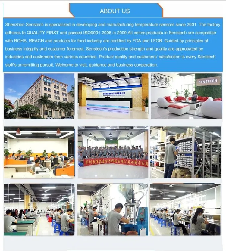 Food-Grade 350c Metal Cable Stainless Steel Probe Food Temperature Probe