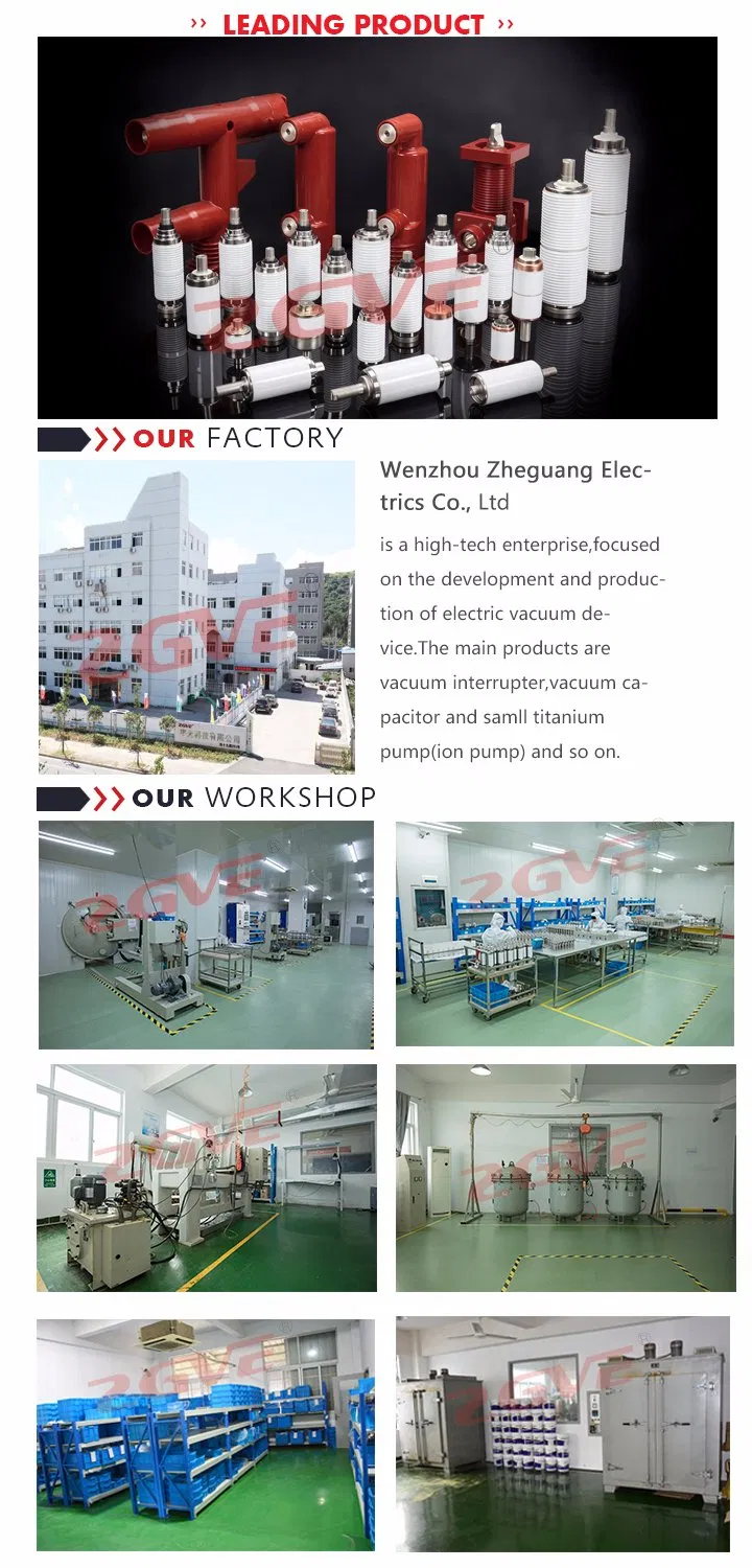 Fzn25 12kv Vacuum Interrupter for Indoor Load Breaking Switch (102B)