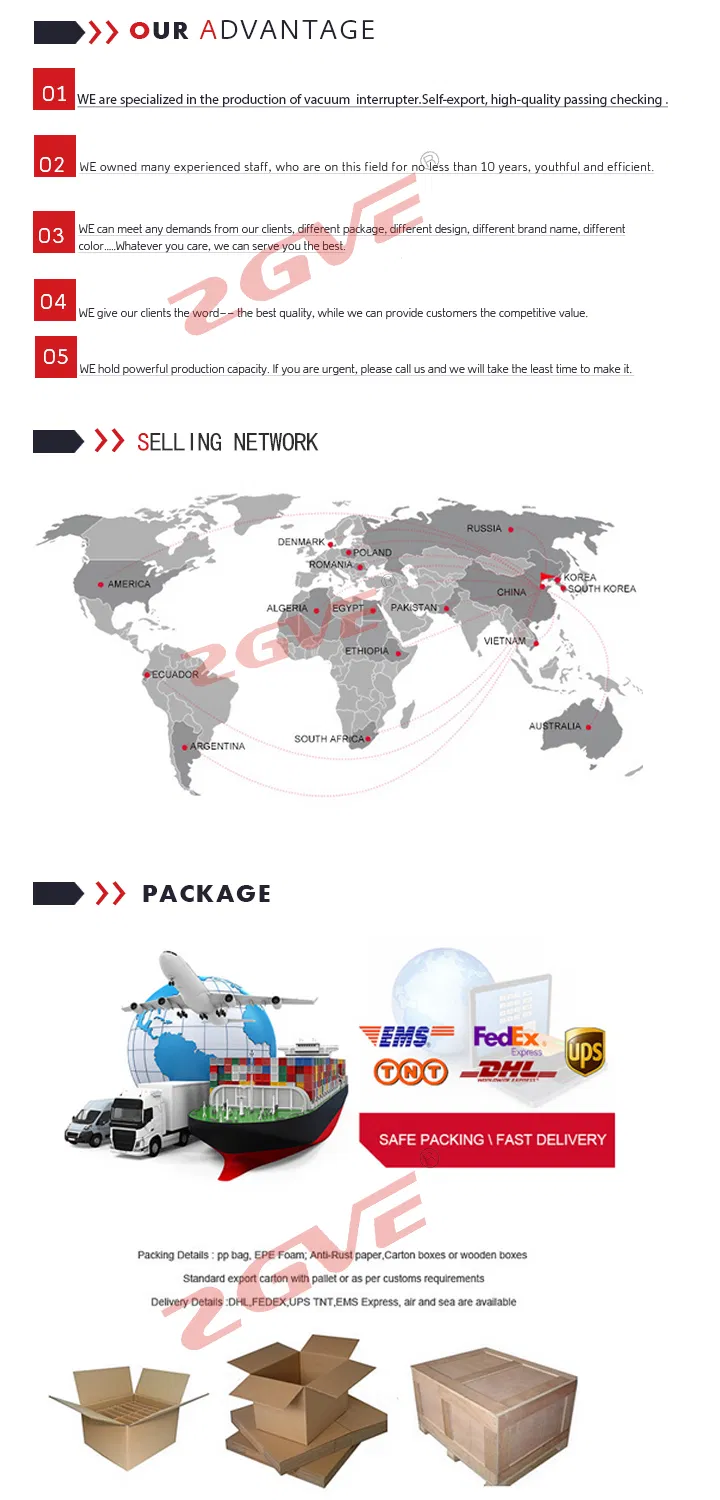 Fzn25 12kv Vacuum Interrupter for Indoor Load Breaking Switch (102B)