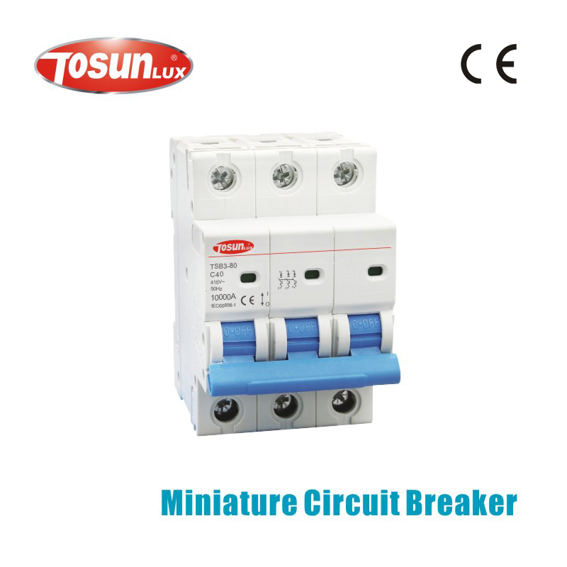 High Breaking Capacity 80A Miniature Circuit Breaker