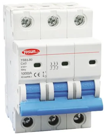 High Breaking Capacity 80A Miniature Circuit Breaker