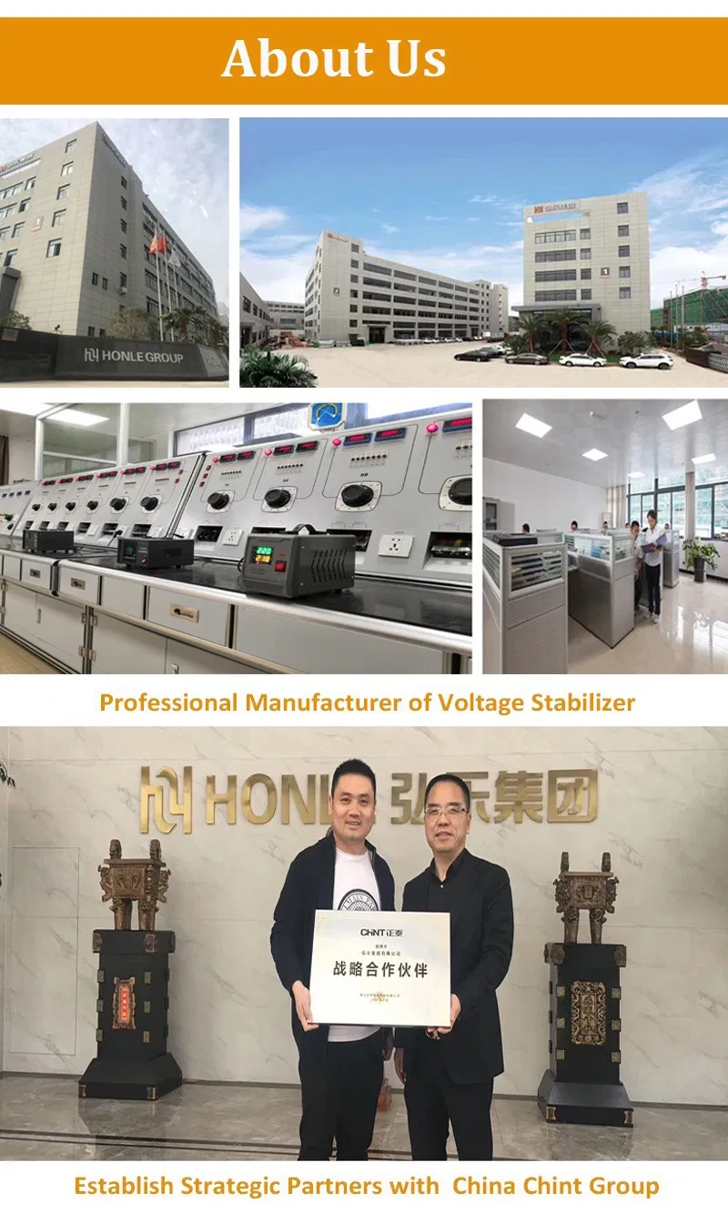 Honle S13-M Series 50kv Oil-Immersed Power Voltage Transformer