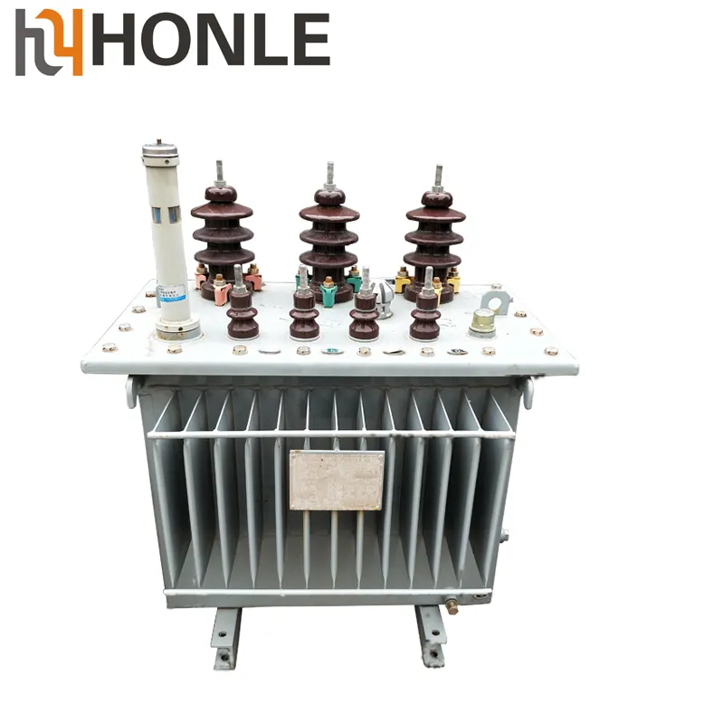 Honle S13-M Series 50kv Oil-Immersed Power Voltage Transformer