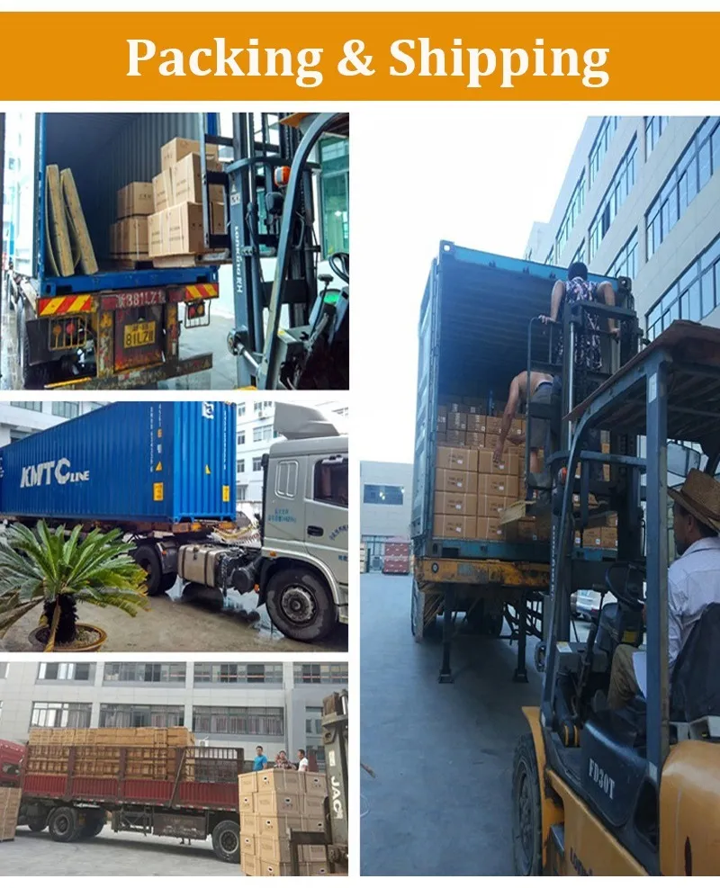 Honle S13-M Series 50kv Oil-Immersed Power Voltage Transformer