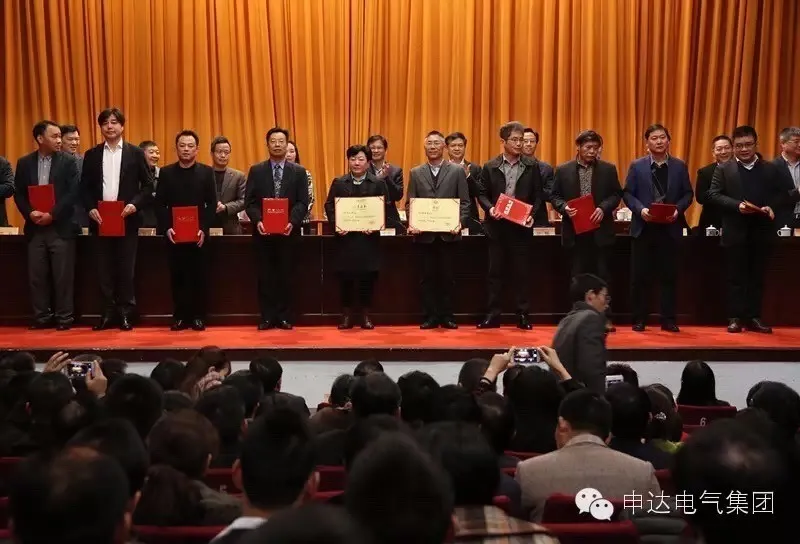 IEEE IEC ISO CE 20 Years Professional 315kVA 10kv Below Distribution Transformer