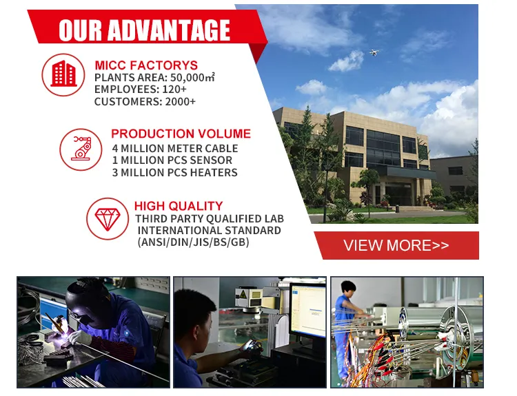 IP65 Naa Thermocouple Thermocouple Terminal Head with Spanner
