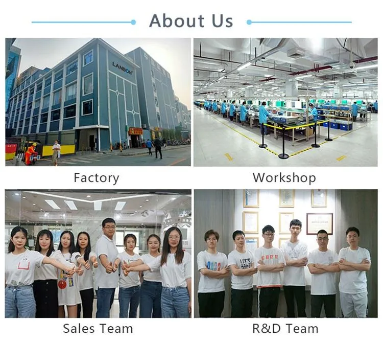 Lanbon Never off Line Smart Switch for Villa
