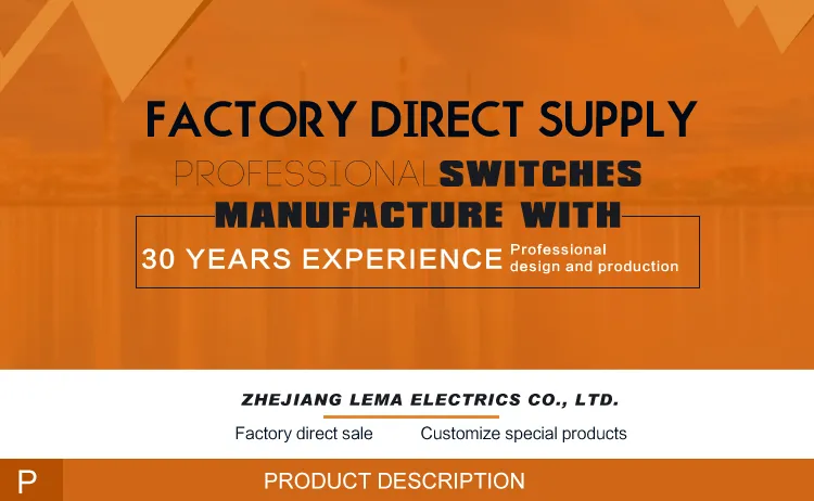 Lema 16A Kw7-33 Roller Lever Spdt Snap Action Micro Switch