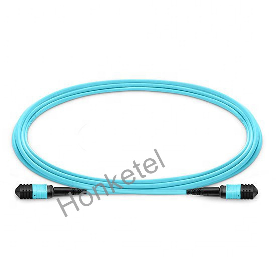 Manufacturing Om1/Om2/ Om3/Om4 8/12/24f G657A1 MPO/MTP Fiber Optic Patch Cord 1m