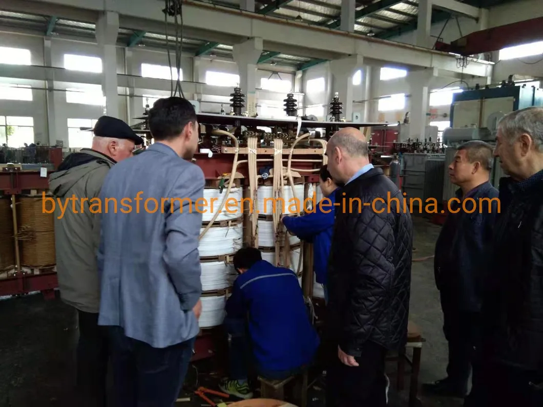 Oil-Immersed Electric Power Transformer (S13-2000/35)