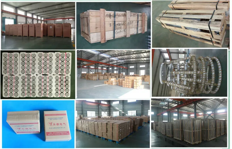Polymeric Housing Metal Oxide Surge Arrester for Low Voltage System