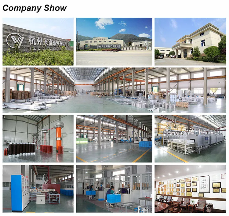 Polymeric Housing Metal Oxide Surge Arrester for Low Voltage System