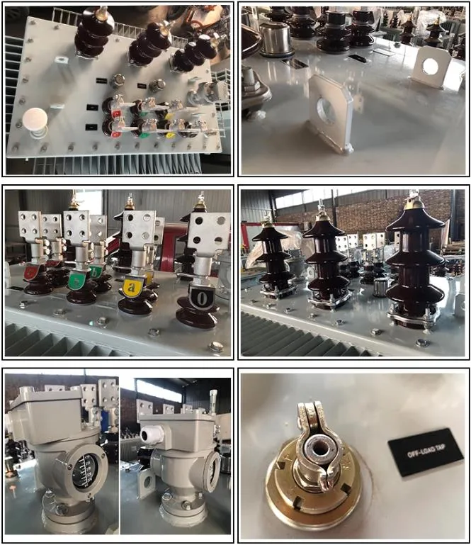 Power Transformer 6kv/11kv/22kv/33kv Three Phase Oil Immersed Distribution Transformer 300kVA Transformer
