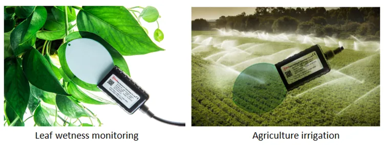 Rika Rk300-04 Online Plant Foliar Moisture / Humidity / Wetness Sensor 0-2V, 4-20mA, RS485