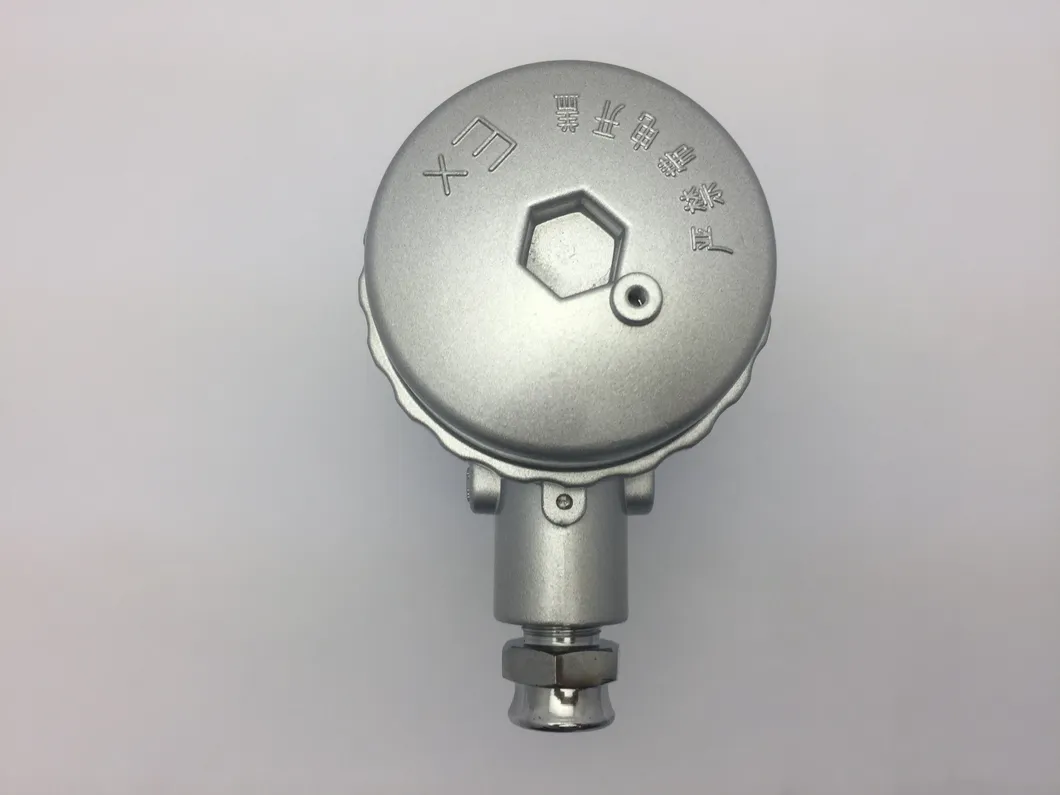 Thermocouple Heads CT6 Ex-Proof/Explosion Proof Box
