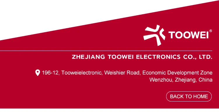 Toowei Power Toggle Miniature Switch on on Self-Lockiing Rocker Switch for Tool Grinder Mechanical