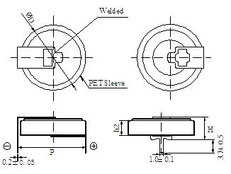 Vertial Type 5.5V 1.0f Farad Capacitor for Smart Meter