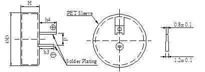 Vertial Type 5.5V 1.0f Farad Capacitor for Smart Meter