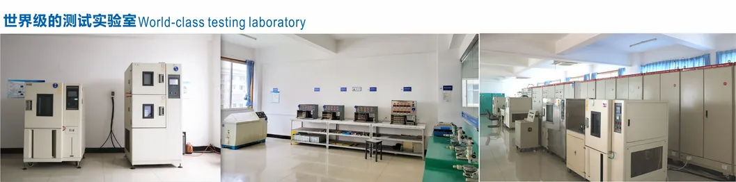 Ws6-T6n-F150A Dong Nan Automobile Door Lock Electric Suction Door Micro Switch