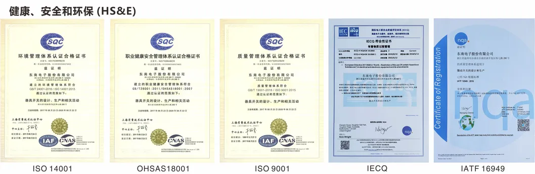 Ws6-T6n-F150A Dong Nan Automobile Door Lock Electric Suction Door Micro Switch