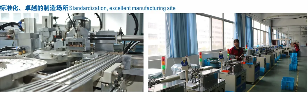 Ws6-T6n-F150A Dong Nan Automobile Door Lock Electric Suction Door Micro Switch