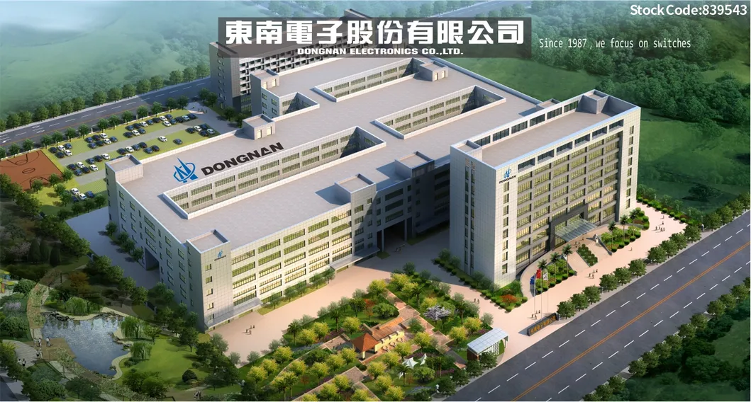 Ws6-T6n-F150A Dong Nan Automobile Door Lock Electric Suction Door Micro Switch