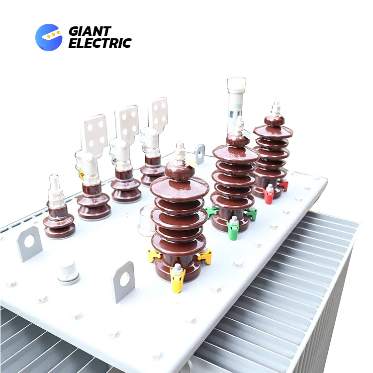 Zhegui Electric S11-M-10/0.4kv 315kVA Three Phase Oil-Immersed Power Transformer with IEC 60076