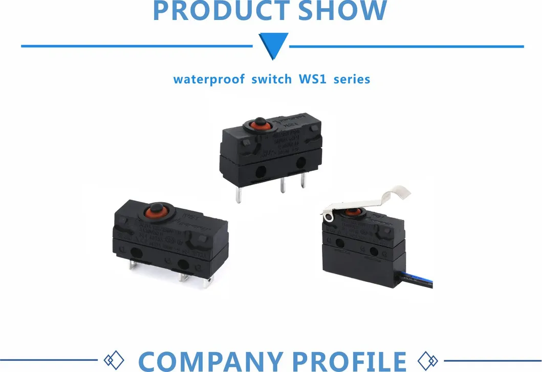 Zhejiang Wenzhou Yueqing Dong Nan Electric Vehicle Parts Waterproof Micro Switch IP67