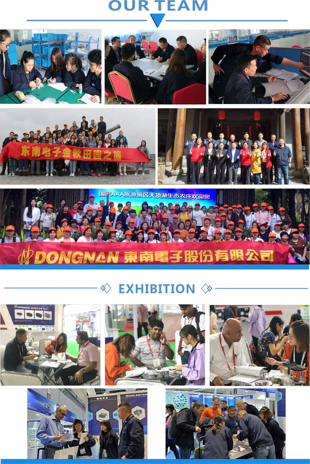 Zhejiang Wenzhou Yueqing Dong Nan Electric Vehicle Parts Waterproof Micro Switch IP67